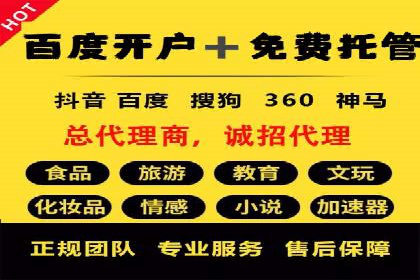 专业SEM服务公司案例分析报告